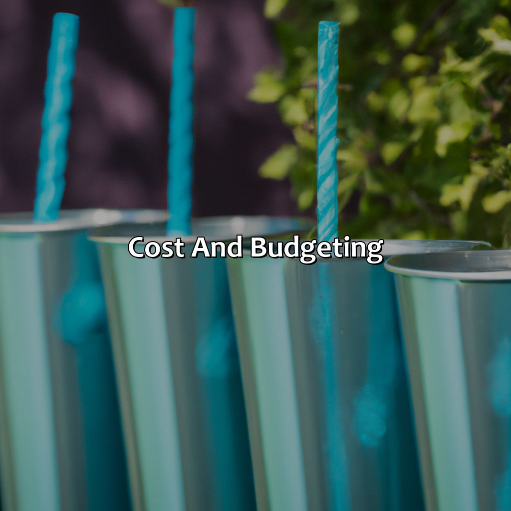 Cost And Budgeting  - Archery Tag Parties, Bubble And Zorb Football Parties, And Nerf Parties In Chatham, 
