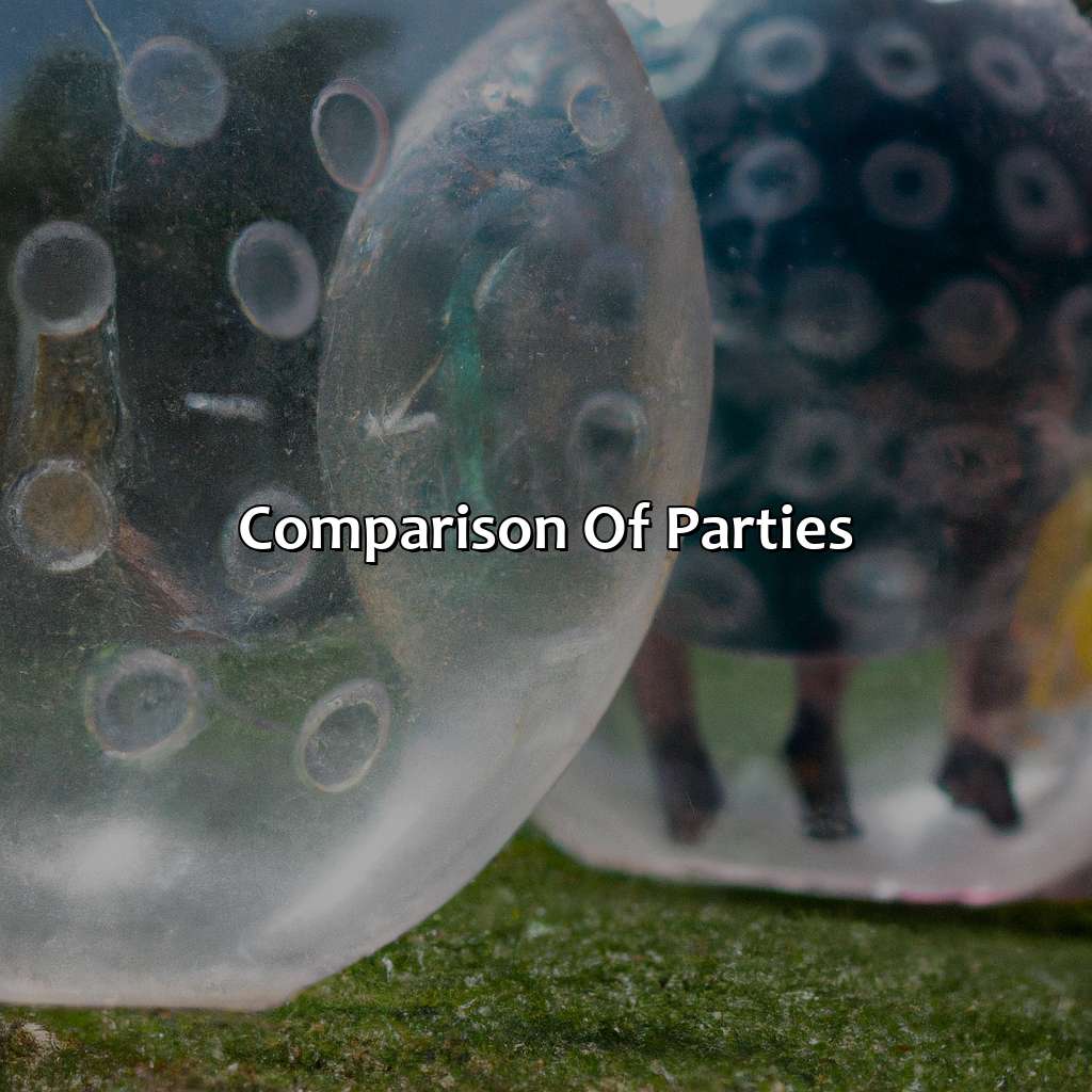 Comparison Of Parties  - Bubble And Zorb Football Parties, Archery Tag Parties, And Nerf Parties In Thornton Heath, 
