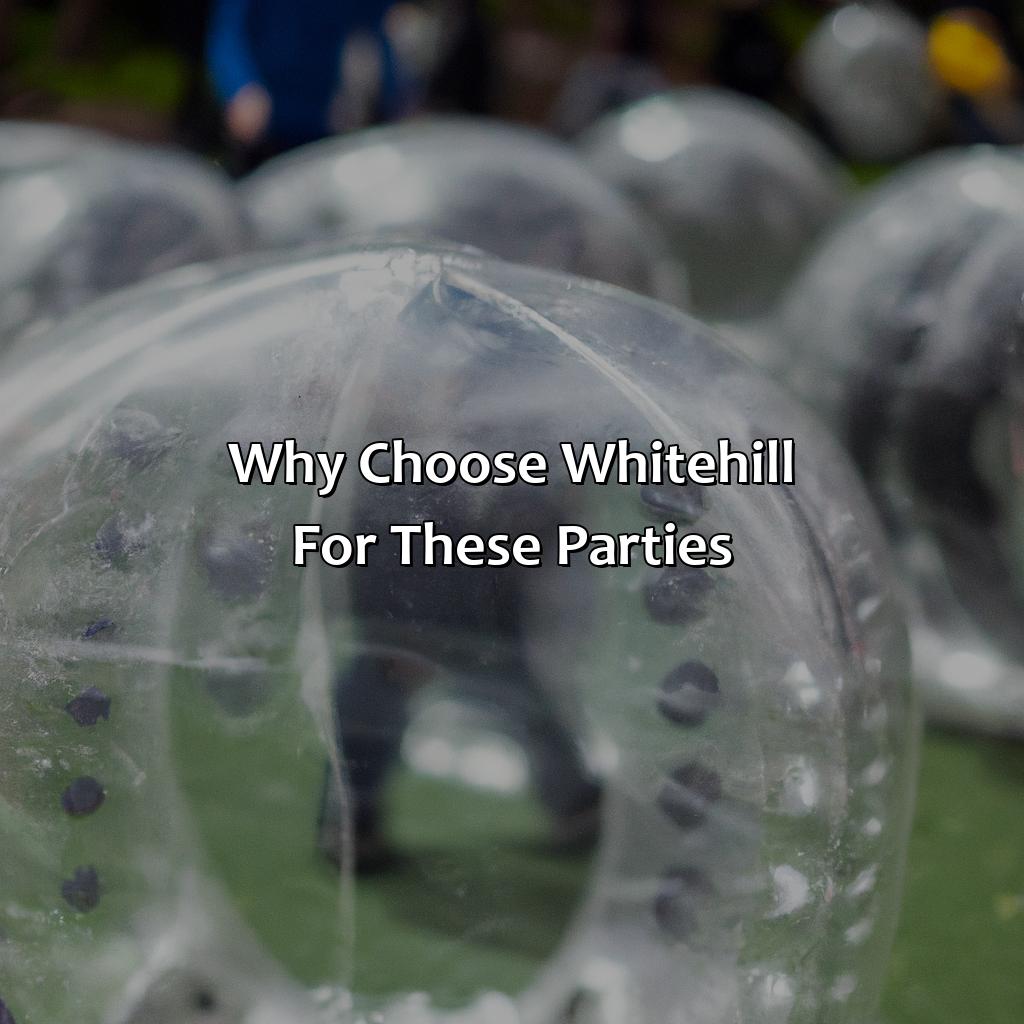 Why Choose Whitehill For These Parties?  - Bubble And Zorb Football Parties, Archery Tag Parties, And Nerf Parties In Whitehill, 