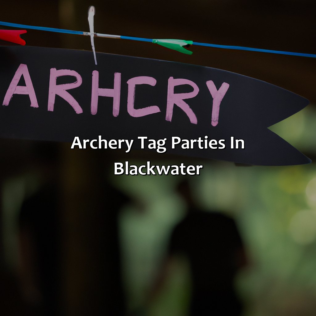Archery Tag Parties In Blackwater  - Nerf Parties, Bubble And Zorb Football Parties, And Archery Tag Parties In Blackwater, 